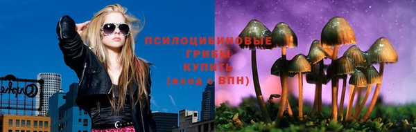 ГАЛЛЮЦИНОГЕННЫЕ ГРИБЫ Нязепетровск