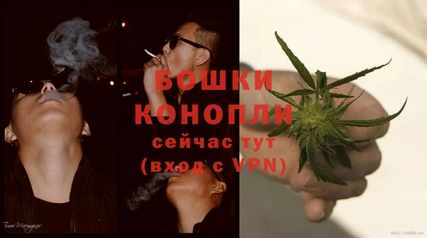 ГАЛЛЮЦИНОГЕННЫЕ ГРИБЫ Нязепетровск