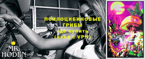индика Вязники