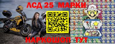 амф Гай