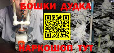 гидра Гатчина