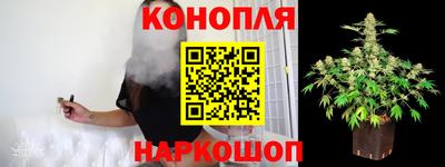 гидра Гатчина