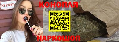 гидра Гатчина