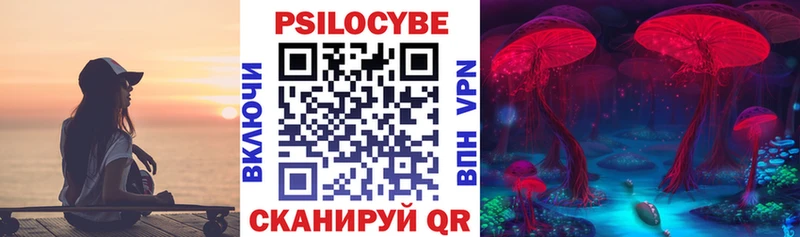 блэк спрут ссылки  Апатиты  Псилоцибиновые грибы Cubensis 