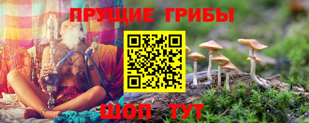 Галлюциногенные грибы мухоморы Апатиты