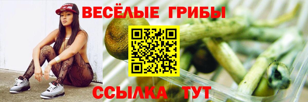 Апатиты  Псилоцибиновые грибы мицелий  Псилоцибиновые грибы GOLDEN TEACHER  где купить наркоту  Вход с VPN 
